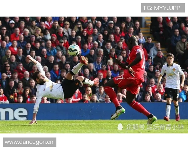 英超球队专业足球场介绍