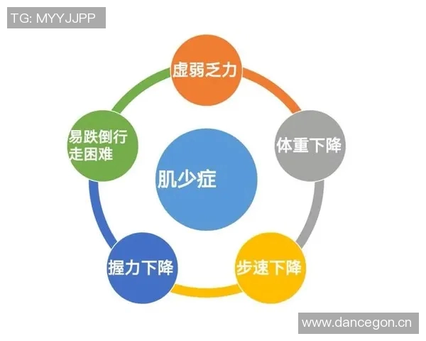 以提升体能为核心的全面健康管理方法与实践策略探讨